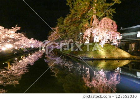 弘前市弘前公園夜晚盛開的吉野櫻花 弘前市弘前公園夜晚盛開的吉野櫻花 125552030