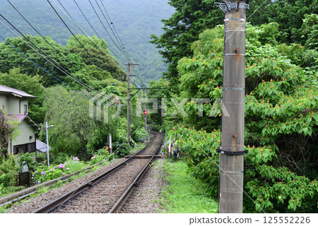繡球花鐵路平交道 繡球花鐵路平交道 125552226
