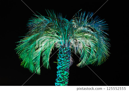 Atami Sun Beach at night: Illuminated palm trees Atami Sun Beach at night: Illuminated palm trees 125552555