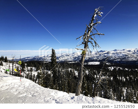 View from above slope. Ski area and views of Brundage Mountain ski resort. View from above slope. Ski area and views of Brundage Mountain ski resort. 125552650