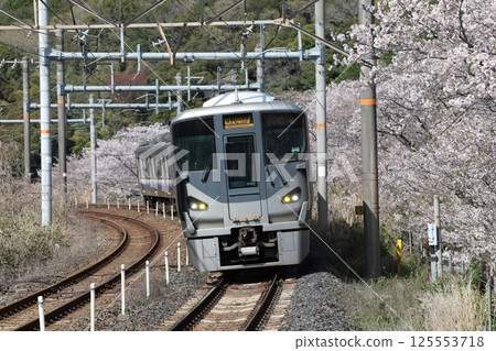 225 Series 5000 Series Kansai Kishu Rd High Speed 125553718