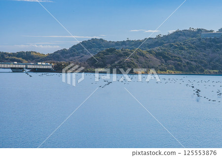 "Sunza Rakugan" from the Eight Views of Totomi shines against the blue sky at Lake Hamana Service Area in Hamamatsu City (Shizuoka Prefecture) 125553876