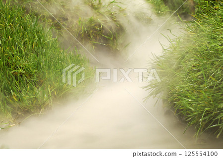 misty fog on green grass 125554100