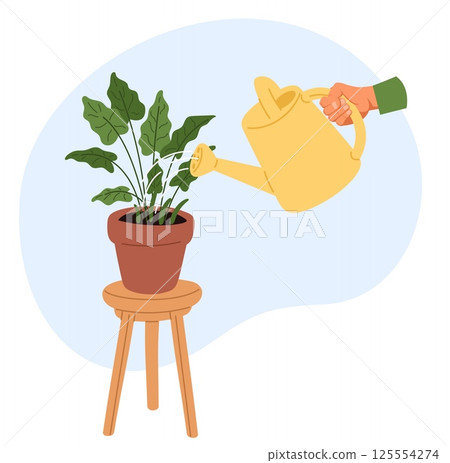 Hand watering potted houseplants from yellow water can. Ficus flowerpot on table. Home gardening. Caring of monstera plant. Room flower irrigation. Domestic palm cultivation. Vector concept 125554274