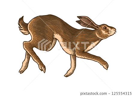 Hare or rabbit jumping. Wild animal running . Hand drawn or engraved sketch style traditional Hare or rabbit jumping. Wild animal running . Hand drawn or engraved sketch style traditional 125554315