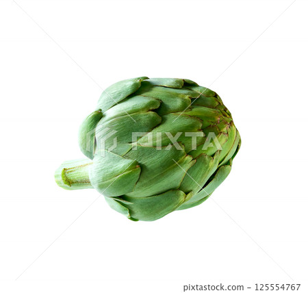 Whole fresh green artichoke isolated on a white background. Fresh artichoke isolated. Whole fresh green artichoke isolated on a white background. Fresh artichoke isolated. 125554767