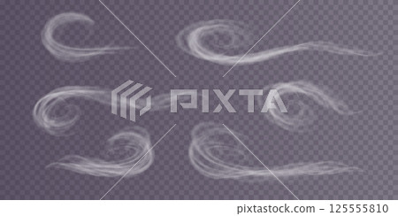 A Winter Blizzard Displaying Beautiful, Swirling Patterns of Snowflakes and Soft, Chilly Wind Effects A Winter Blizzard Displaying Beautiful, Swirling Patterns of Snowflakes and Soft, Chilly Wind Effects 125555810