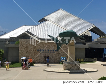 Okinawa Churaumi Aquarium Okinawa Churaumi Aquarium 125556095