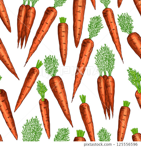 Carrots hand drawn seamless pattern with fresh vegetables in old vintage style for packaging or 125556596