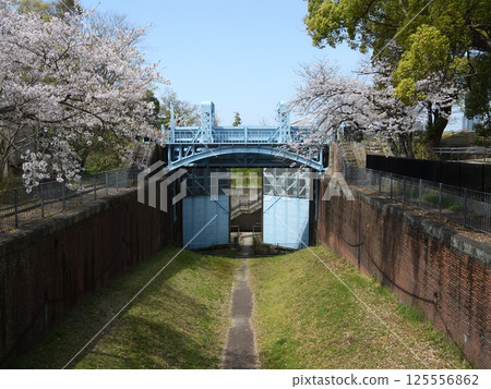 Former Kema No. 1 Lock and cherry blossoms (photographed in April 2025 in Kita-ku, Osaka City) 125556862