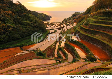 【佐賀縣】濱之浦梯田的夜景 125556870