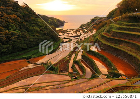 【佐賀縣】濱之浦梯田的夜景 125556871
