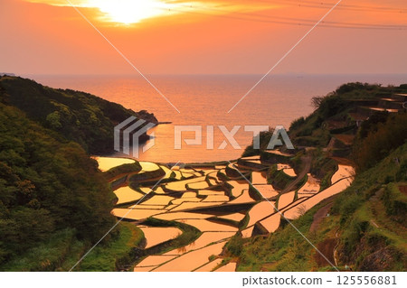 【佐賀縣】濱之浦梯田的夜景 【佐賀縣】濱之浦梯田的夜景 125556881