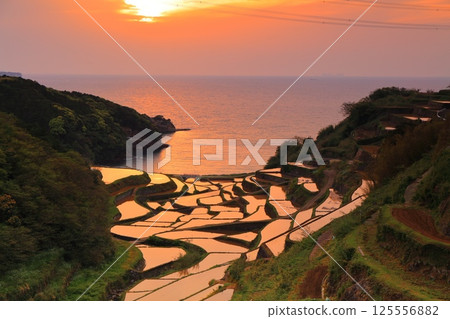 【佐賀縣】濱之浦梯田的夜景 125556882