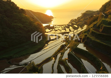 [Saga Prefecture] Evening view of Hamanoura rice terraces 125556886
