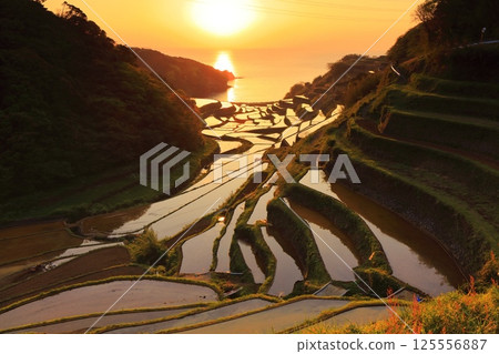 [Saga Prefecture] Evening view of Hamanoura rice terraces 125556887
