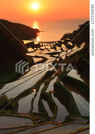 【佐賀縣】濱之浦梯田的夜景 【佐賀縣】濱之浦梯田的夜景 125556888