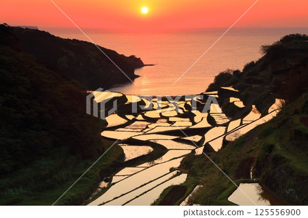 [Saga Prefecture] Evening view of Hamanoura rice terraces 125556900