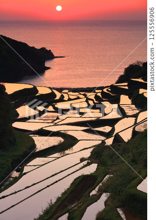 【佐賀縣】濱之浦梯田的夜景 125556906