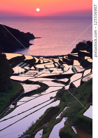 【佐賀縣】濱之浦梯田的夜景 125556907