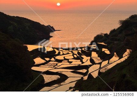 【佐賀縣】濱之浦梯田的夜景 125556908