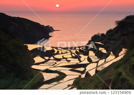 【佐賀縣】濱之浦梯田的夜景 125556909