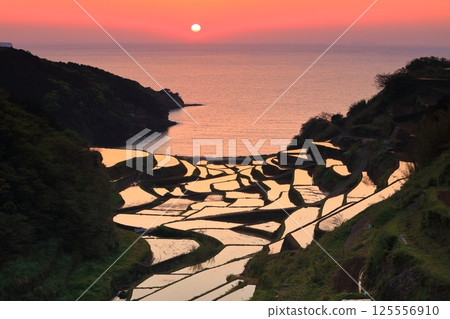[Saga Prefecture] Evening view of Hamanoura rice terraces 125556910