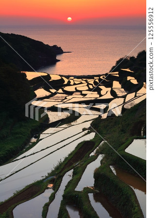 [Saga Prefecture] Evening view of Hamanoura rice terraces 125556912