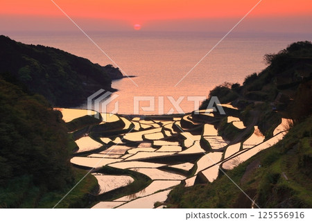 [Saga Prefecture] Evening view of Hamanoura rice terraces 125556916