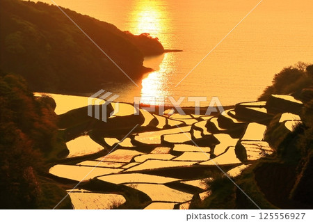 [Saga Prefecture] Evening view of Hamanoura rice terraces 125556927