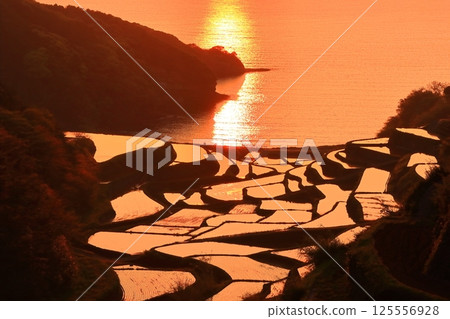 【佐賀縣】濱之浦梯田的夜景 【佐賀縣】濱之浦梯田的夜景 125556928