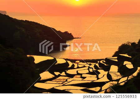 [Saga Prefecture] Evening view of Hamanoura rice terraces 125556933