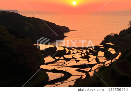 [Saga Prefecture] Evening view of Hamanoura rice terraces 125556934