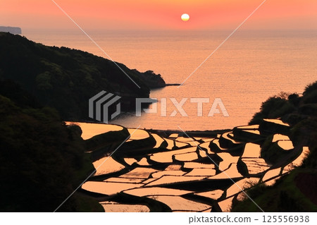[Saga Prefecture] Evening view of Hamanoura rice terraces 125556938