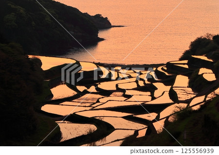 【佐賀縣】濱之浦梯田的夜景 125556939