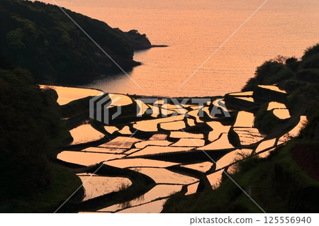 [Saga Prefecture] Evening view of Hamanoura rice terraces 125556940
