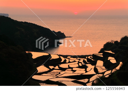 [Saga Prefecture] Evening view of Hamanoura rice terraces 125556943