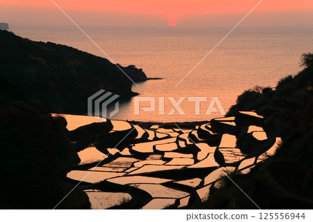[Saga Prefecture] Evening view of Hamanoura rice terraces 125556944