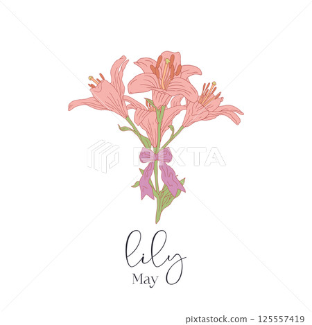 Hand drawn pink line art birth month May flower lily bouquet with bow. Botanical vector illustration with text Hand drawn pink line art birth month May flower lily bouquet with bow. Botanical vector illustration with text 125557419