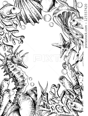 Seahorse, jellyfish, corals, sea sponges, seaweed, shells, starfish and bubbles. Hand drawn graphic illustration in black and white color line art. Frame template vertical for text on marine theme Seahorse, jellyfish, corals, sea sponges, seaweed, shells, starfish and bubbles. Hand drawn graphic illustration in black and white color line art. Frame template vertical for text on marine theme 125557420