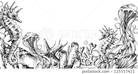 Seahorse, jellyfish, corals, sea sponges, seaweed, shells, starfish and bubbles. Hand drawn graphic illustration in black and white color line art. Frame template horizontal for text on marine theme Seahorse, jellyfish, corals, sea sponges, seaweed, shells, starfish and bubbles. Hand drawn graphic illustration in black and white color line art. Frame template horizontal for text on marine theme 125557421