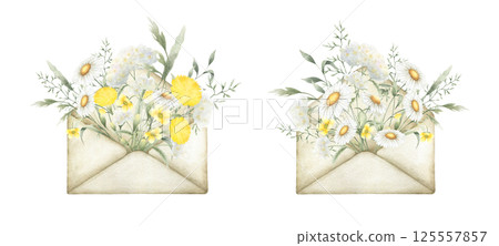 Watercolor wildflowers chamomile, dandelion, yarrow, buttercup and meadow grasses in old vintage envelopes. Field yellow and white flowers hand drawn isolated illustration set for postcards, stickers Watercolor wildflowers chamomile, dandelion, yarrow, buttercup and meadow grasses in old vintage envelopes. Field yellow and white flowers hand drawn isolated illustration set for postcards, stickers 125557857