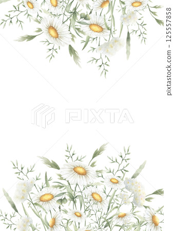 Wildflowers chamomile, yarrow and meadow grasses. Hand drawn isolated watercolor rectangular frame of yellow and white field vintage flowers with copy space for wedding invitation and rustic postcard Wildflowers chamomile, yarrow and meadow grasses. Hand drawn isolated watercolor rectangular frame of yellow and white field vintage flowers with copy space for wedding invitation and rustic postcard 125557858