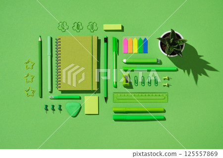 Flat lay of green stationery set including notebook, pens, pencil, ruler, sticky notes, paper clips, push pins, eraser, and small potted plant on bright green background Flat lay of green stationery set including notebook, pens, pencil, ruler, sticky notes, paper clips, push pins, eraser, and small potted plant on bright green background 125557869