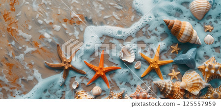 Seashells and starfish on sandy beach, perfect natural background for designs 125557959