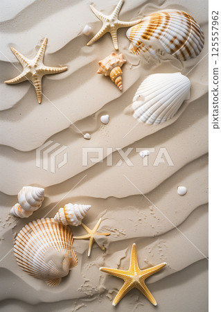 Seashells and starfish on sandy beach, perfect natural background for designs 125557962