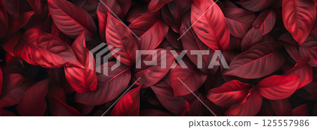 Dark red tropical leaves texture background with copy space, flat lay 125557986