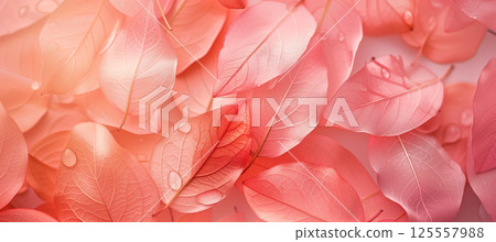 Trendy peach leaf texture - abstract background with apricot leaves 125557988
