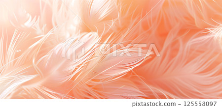 Close-up abstract macro of trendy peach feather texture, apricot fluffy backdrop Close-up abstract macro of trendy peach feather texture, apricot fluffy backdrop 125558097