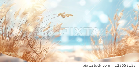 Tranquil summer beach landscape with sand dunes and sunlit beige plants 125558133